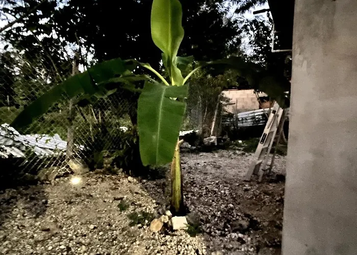 Linda Casa Privada En La Naturaleza De Tulum!!!
